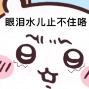 Chiikawa GIF 461